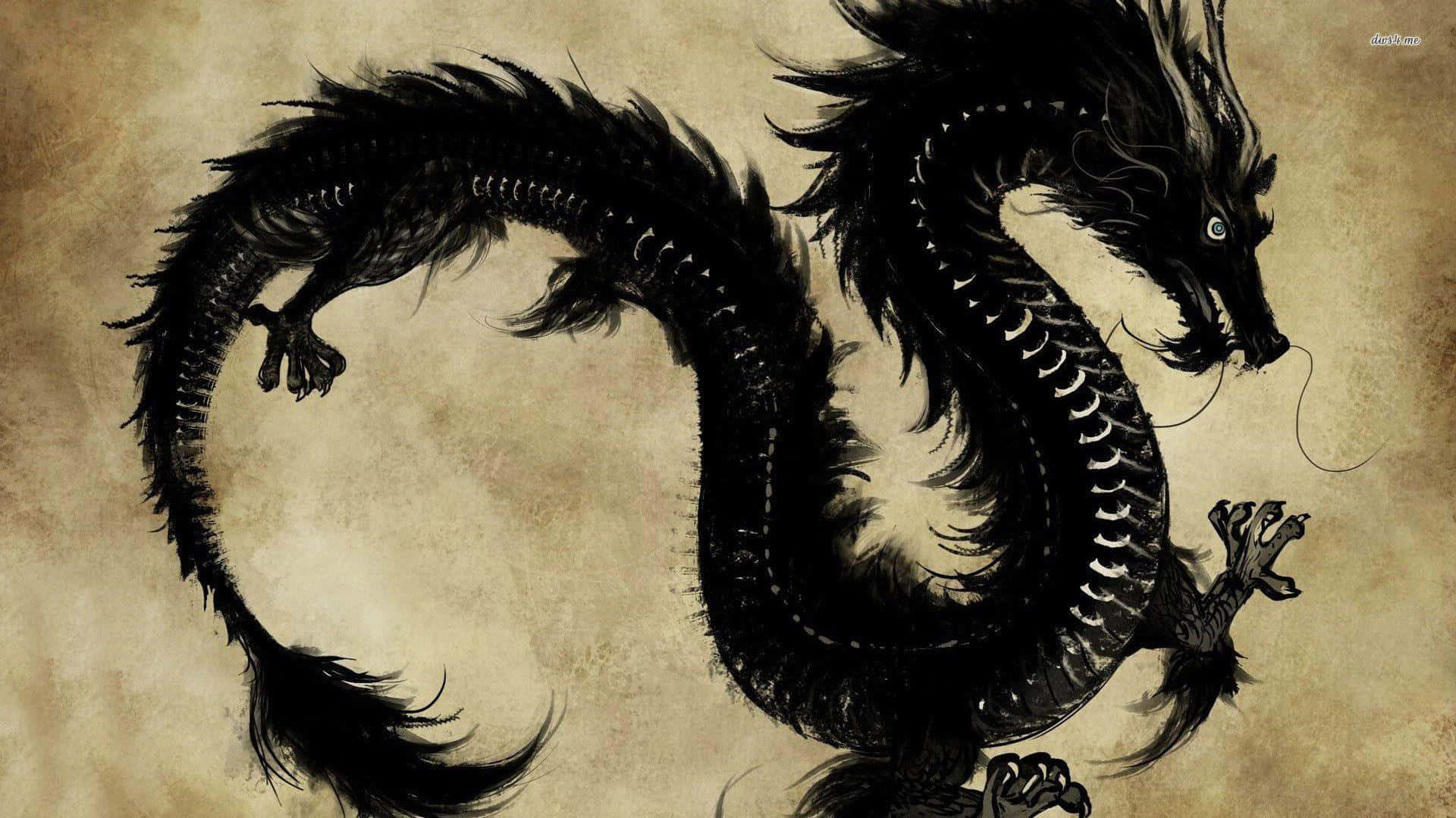 East Asian Black Dragon Wallpaper