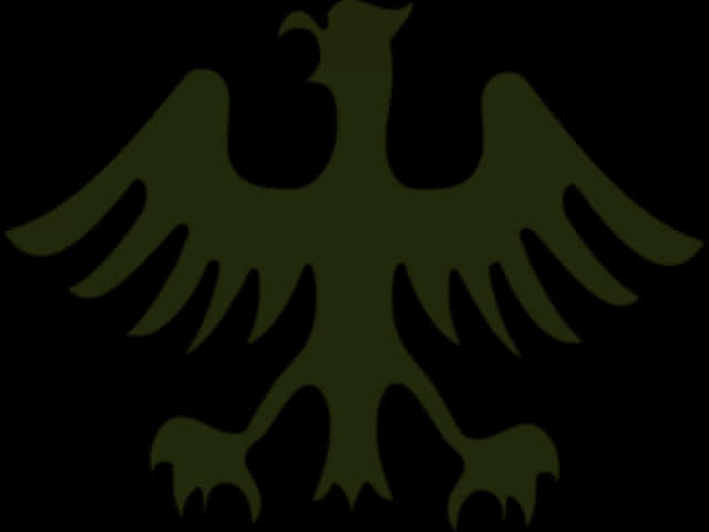 Black Eagle Silhouette PNG