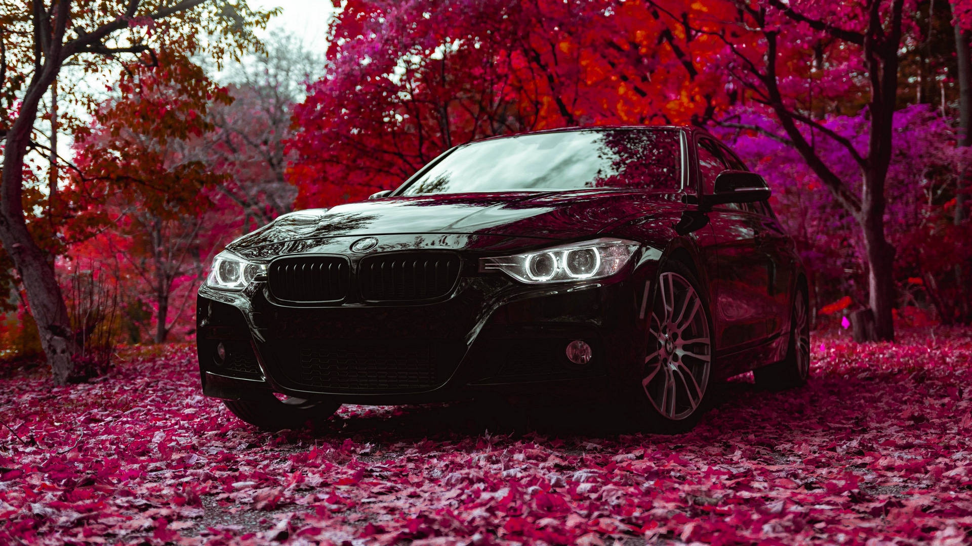1100 BMW HD Wallpapers and Backgrounds