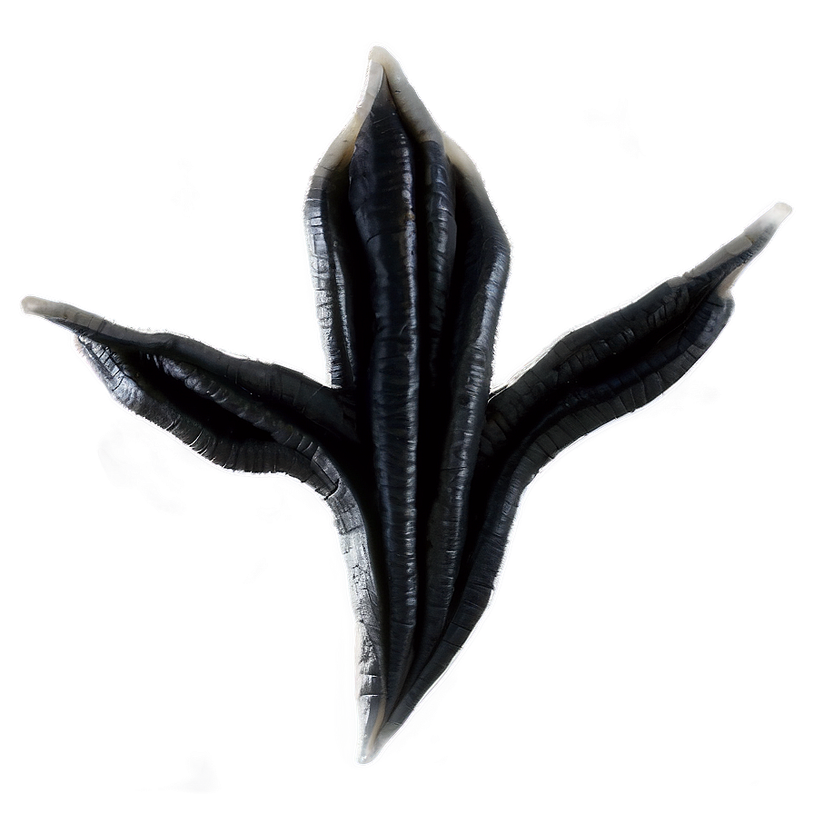 Black Fade To Grey Png 05252024 PNG