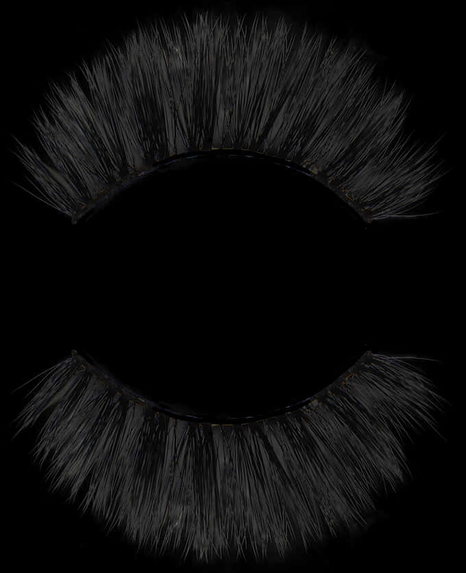 Black_ False_ Eyelashes_ Closeup PNG