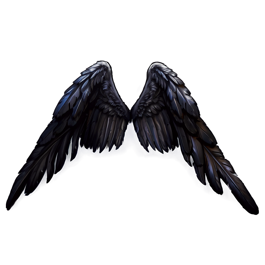 Black Feather Angel Wings Png Xcn1 PNG