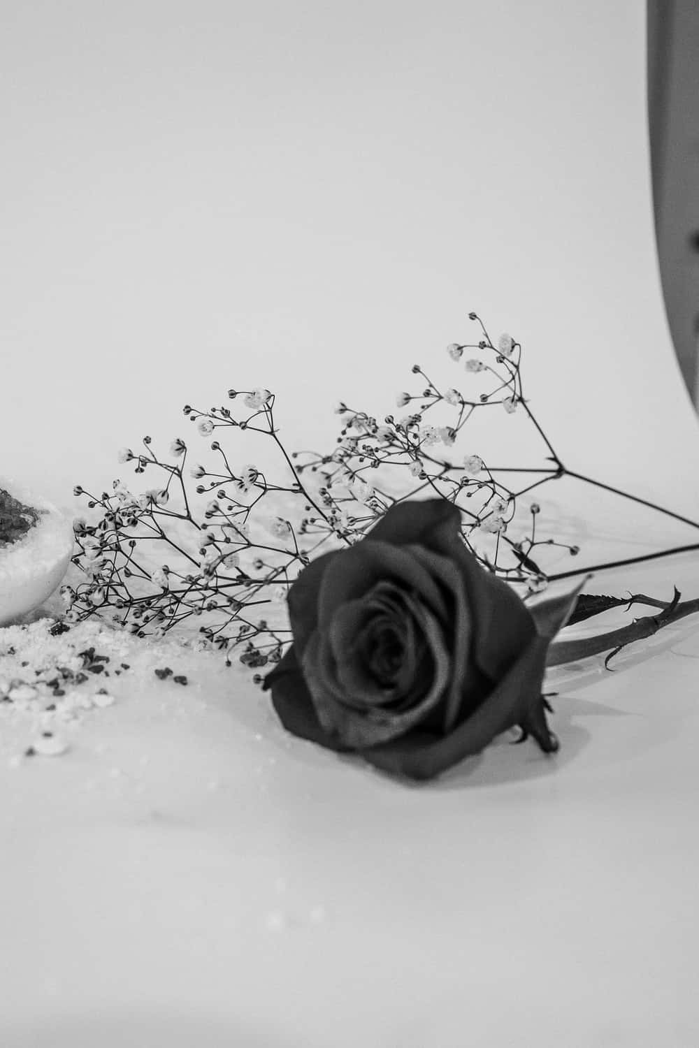 A Black And White Photo Of A Rose And A Vase