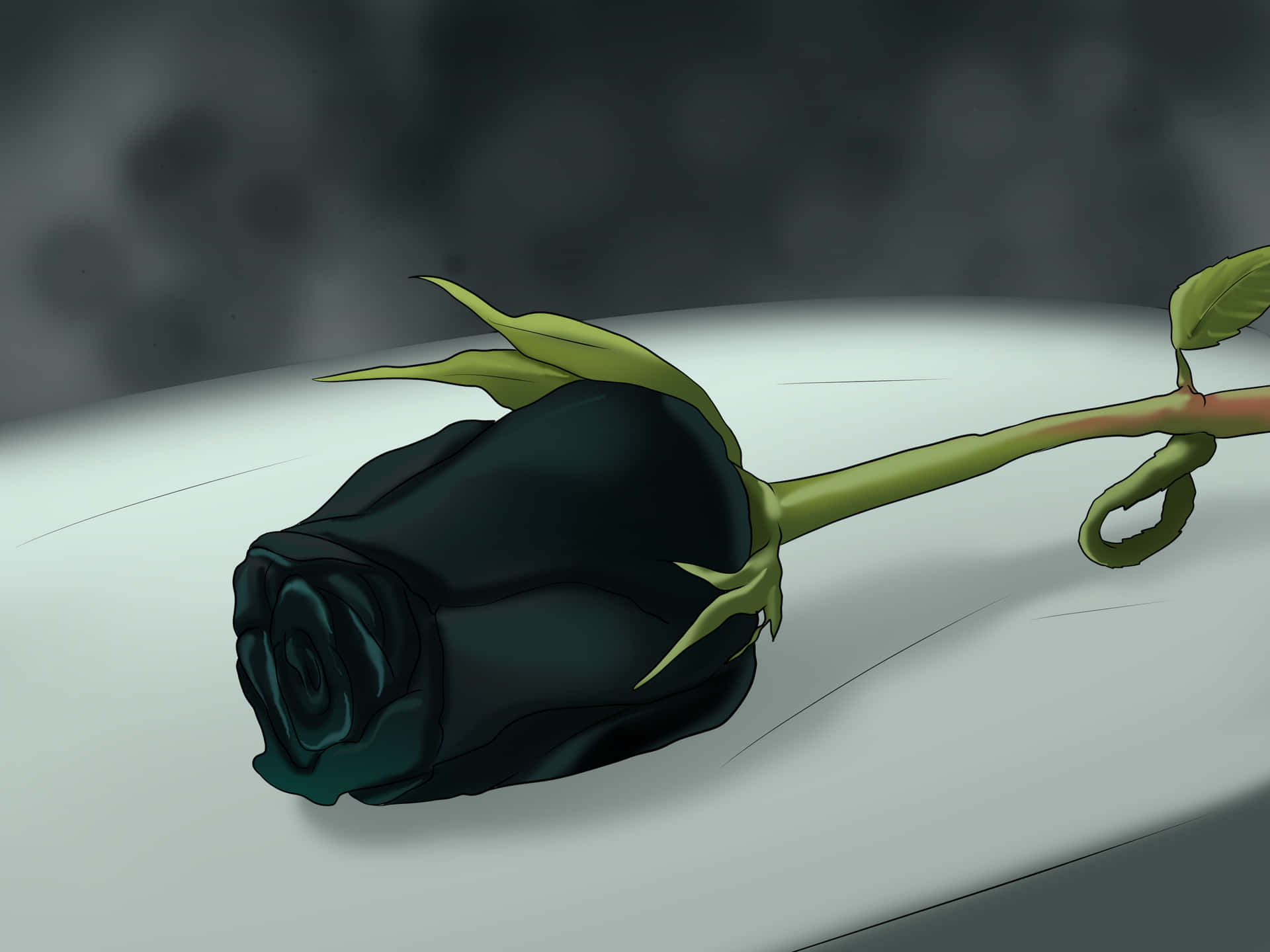 A Black Rose On A White Bed