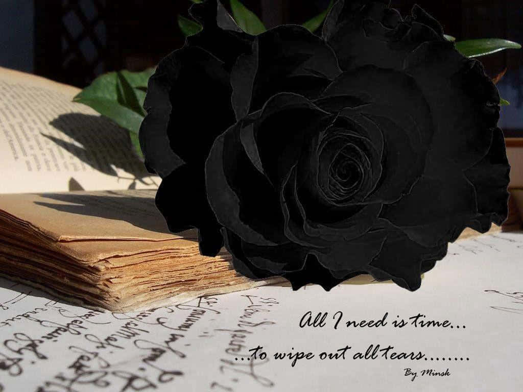 A Black Rose With An Open Book And A Quote