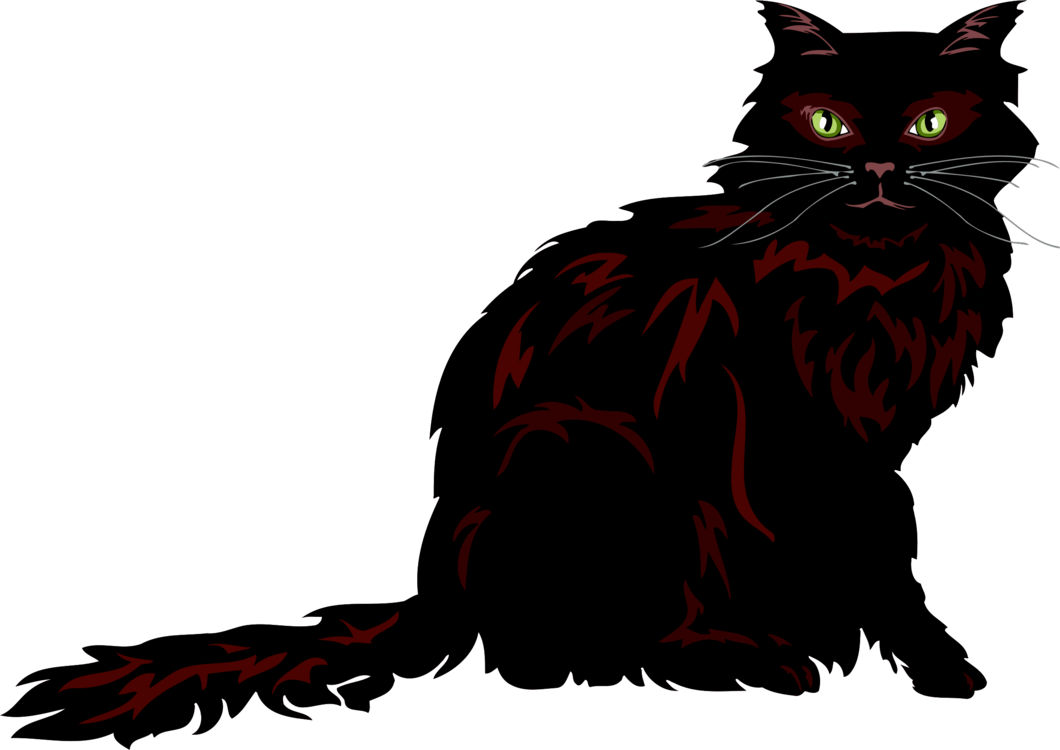 Black Fluffy Cat Illustration PNG