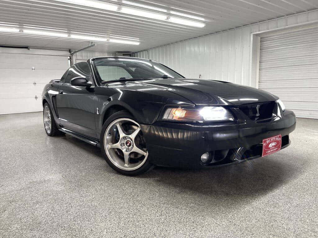 Zwarte Ford Mustang Svt Cobra Cabriolet Achtergrond