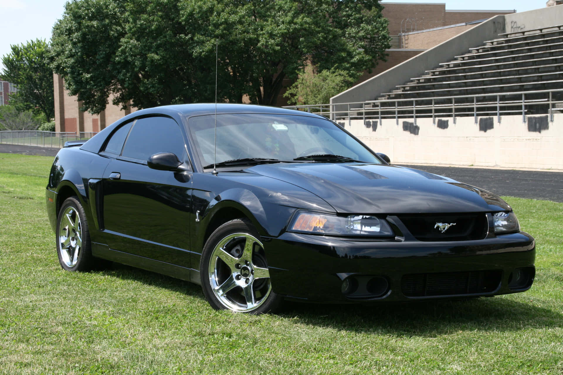 Ford Mustang Svt Cobra Hitam Parkir Wallpaper