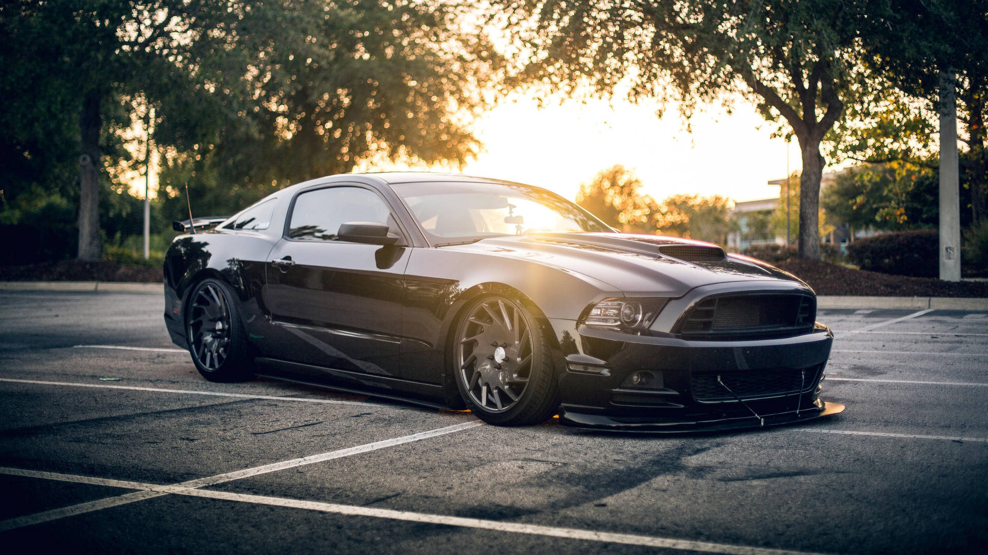 Black Ford Mustang Shelby