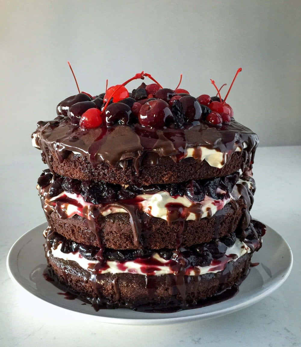 A delightful Black Forest Cake delightfully topped with cherries Wallpaper