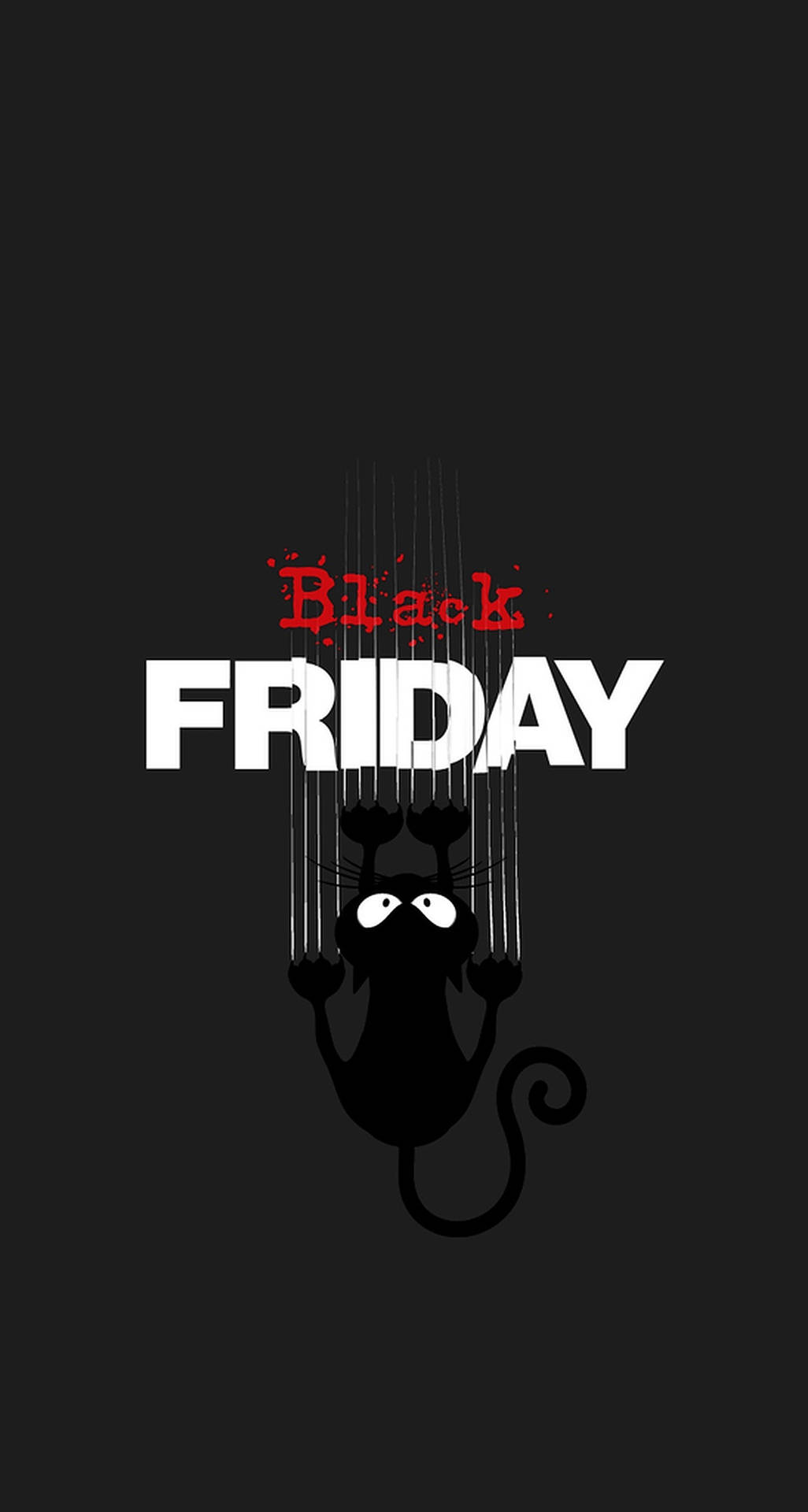 Black Friday Cat Wallpaper