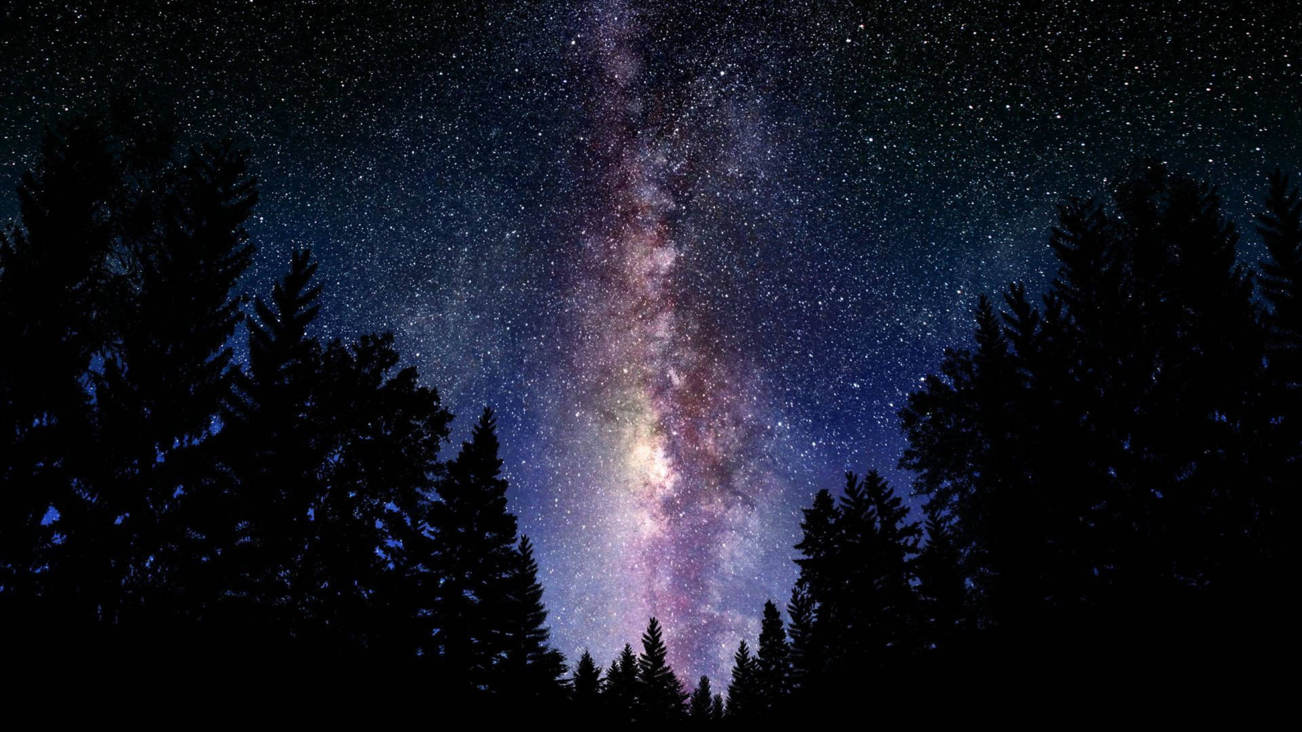 Black Galaxy Milky Way Forest Wallpaper