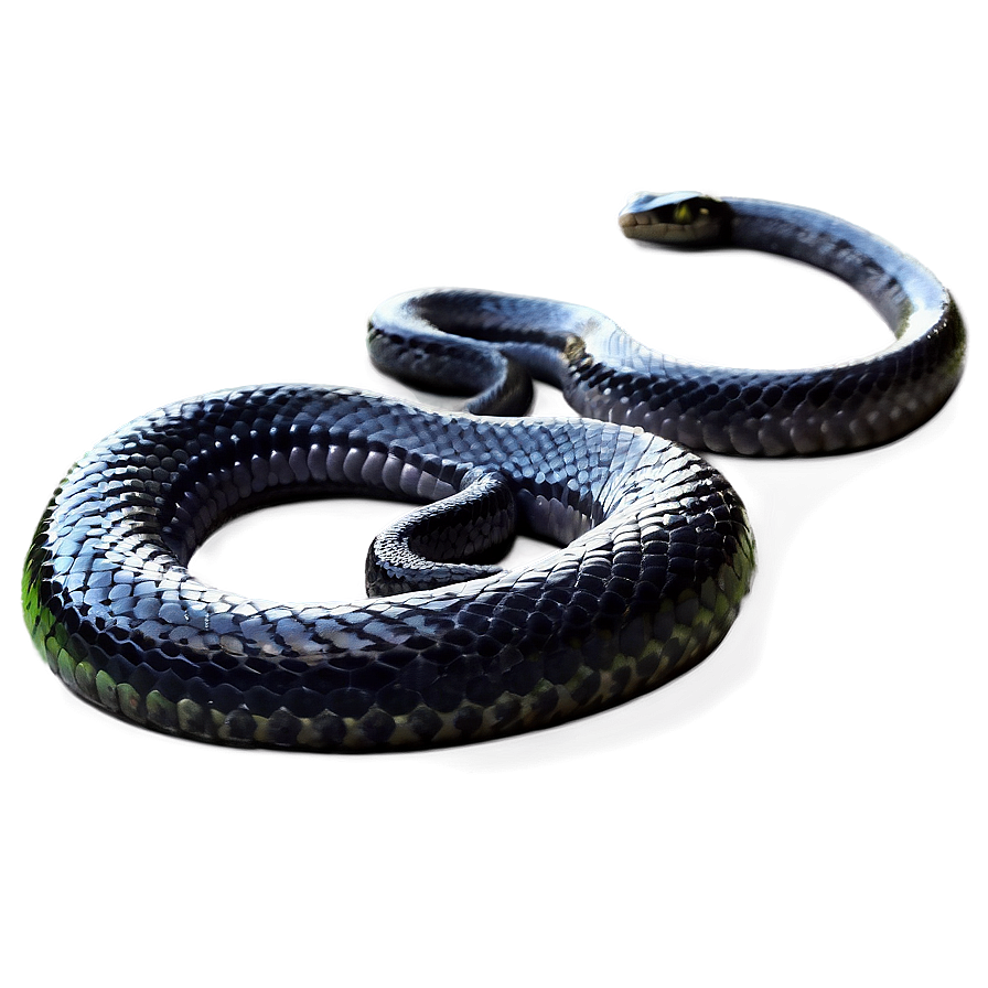 Black Garden Snake Png Bee83 PNG