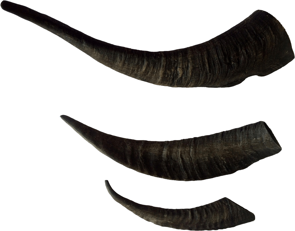 Black Goat Horns Set PNG