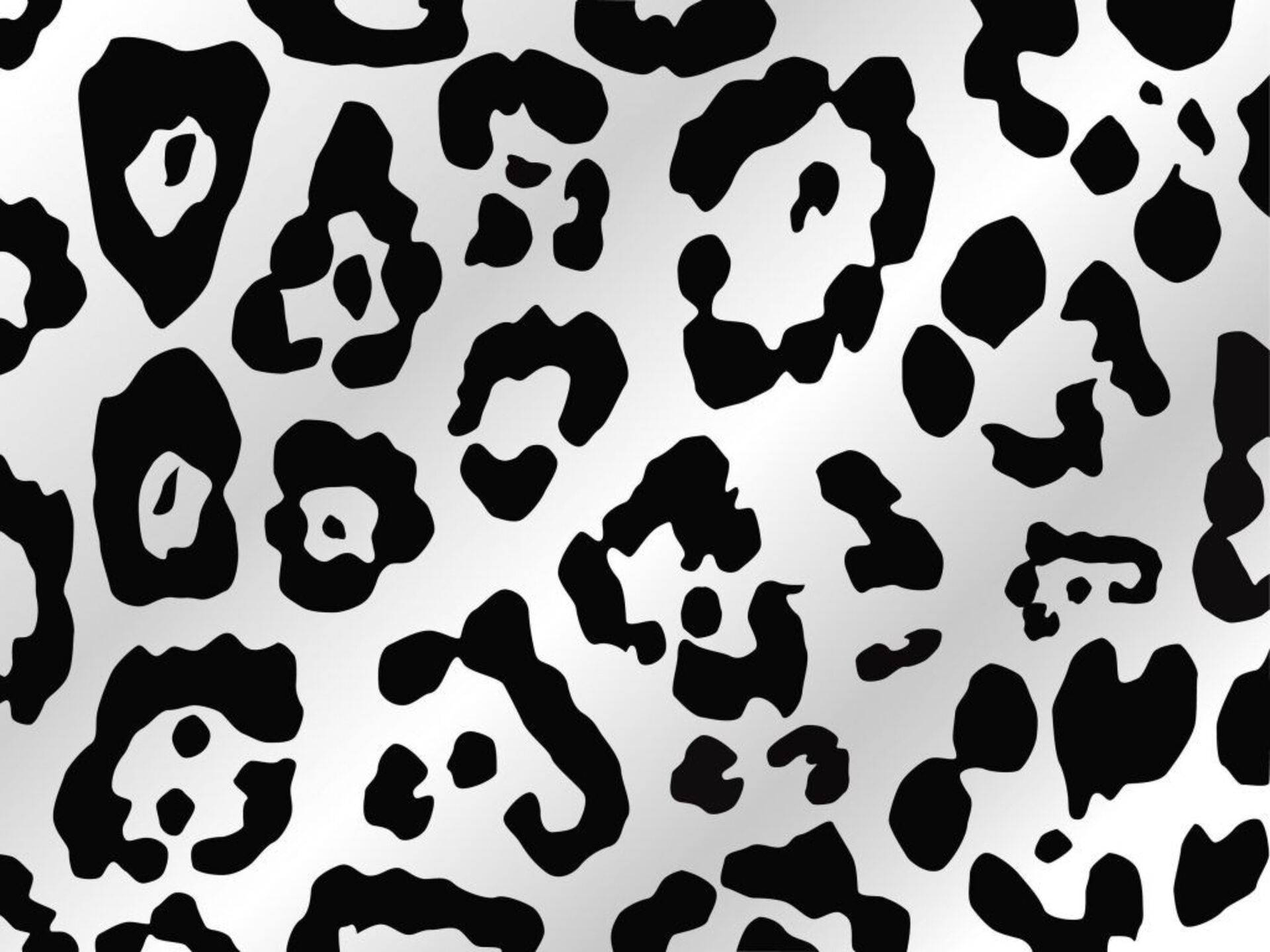 Black Gray Leopard Print Wallpaper
