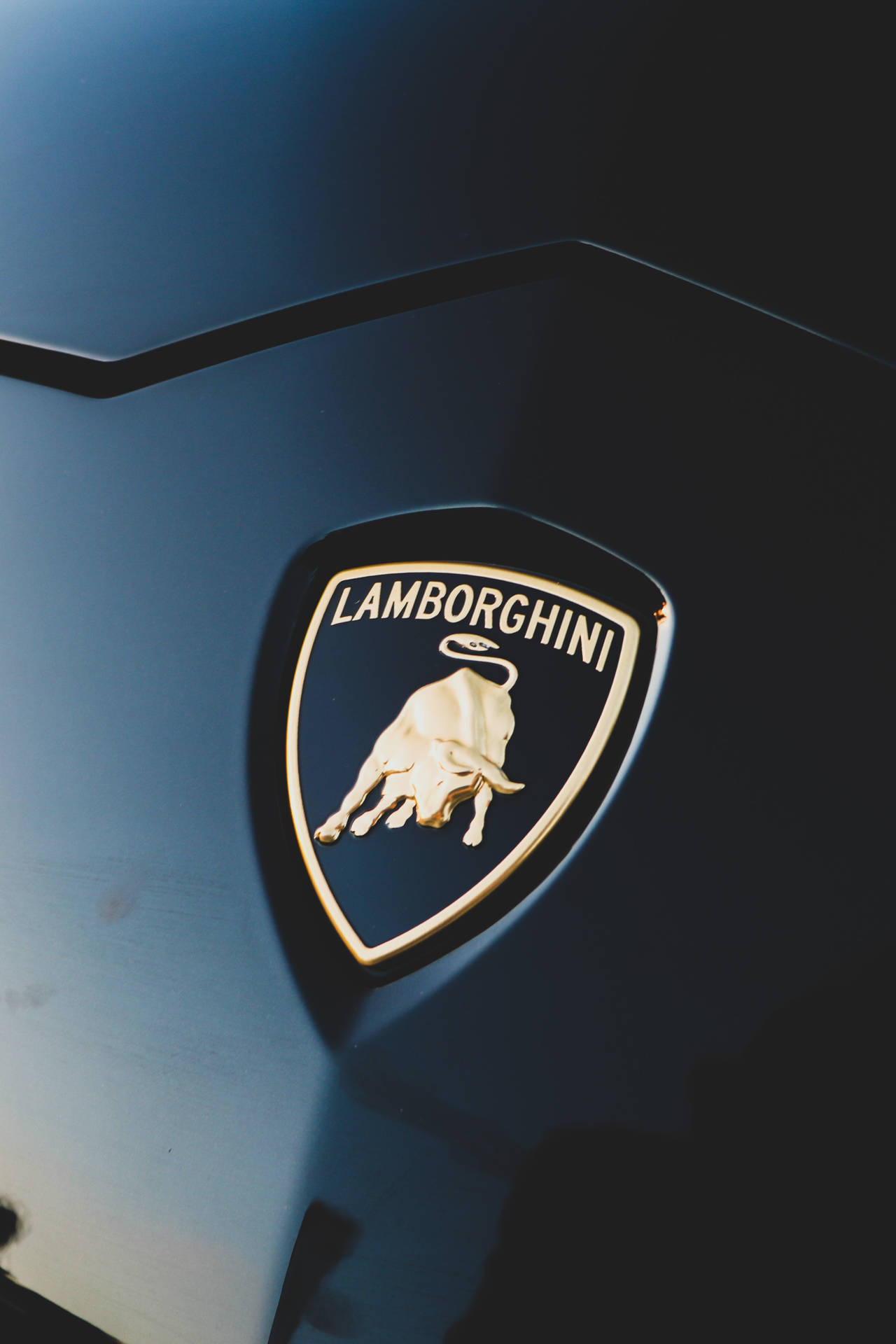 Black Hood Lamborghini Galaxy