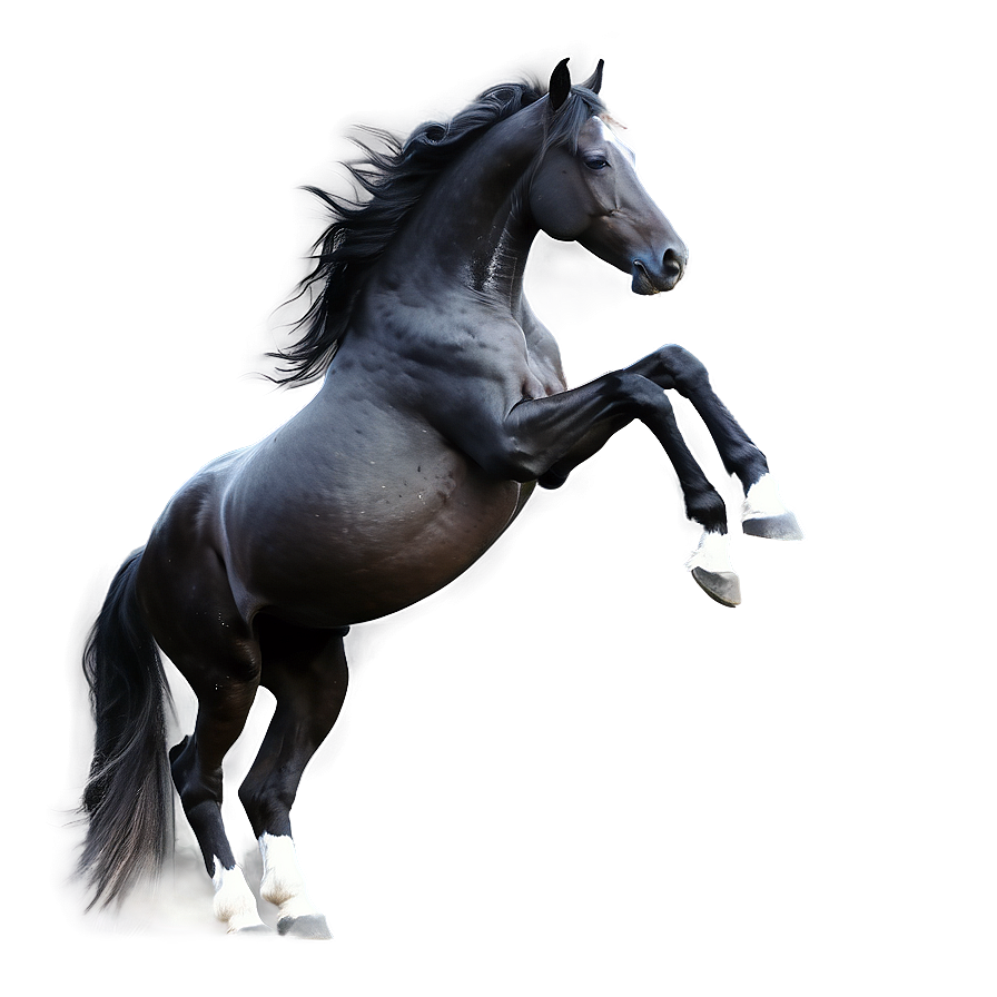 Black Horse Digital Artwork Png 96 PNG