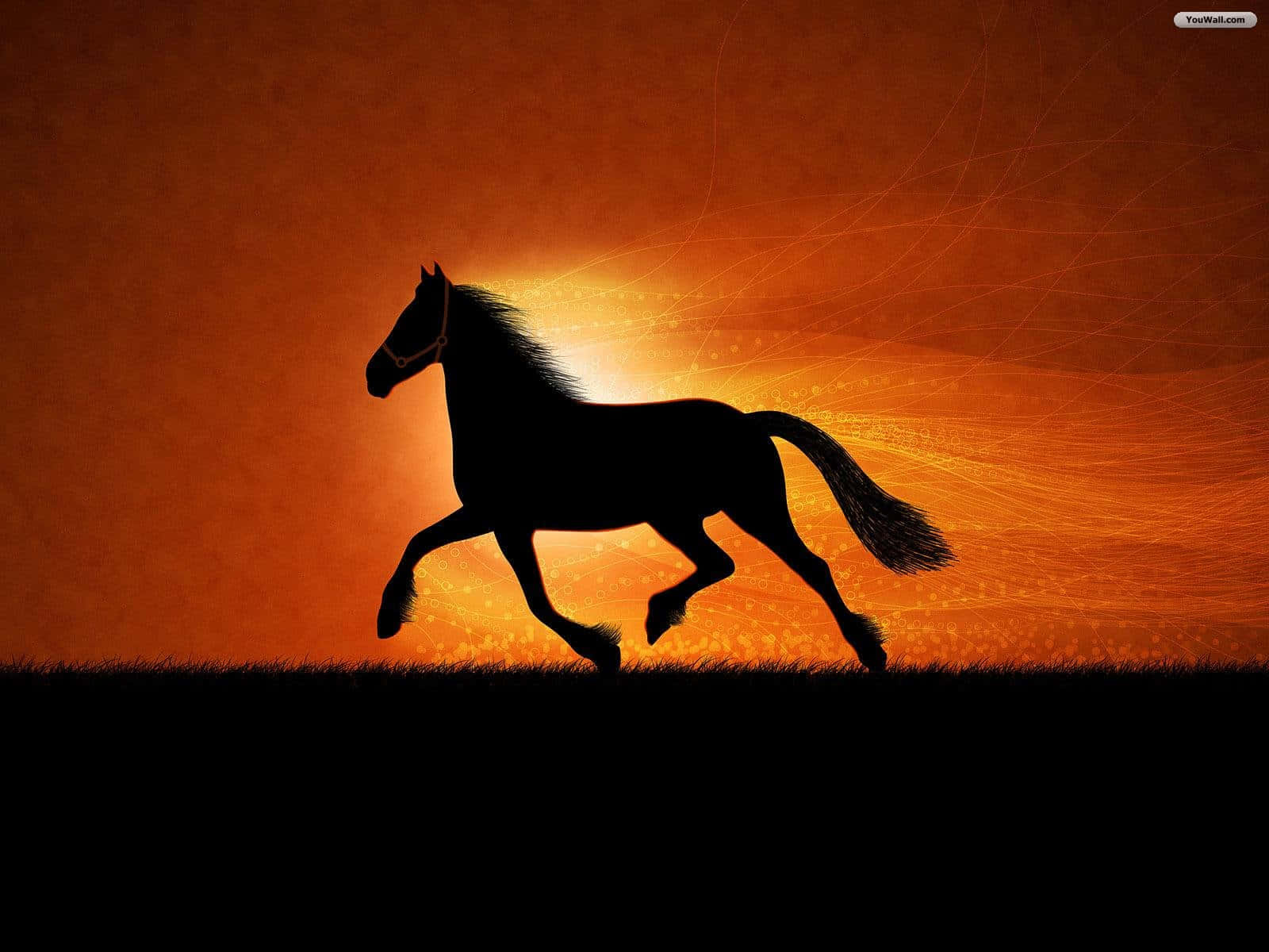 Immaginedi Un Cavallo Nero In Un Ambiente Rurale Maestoso