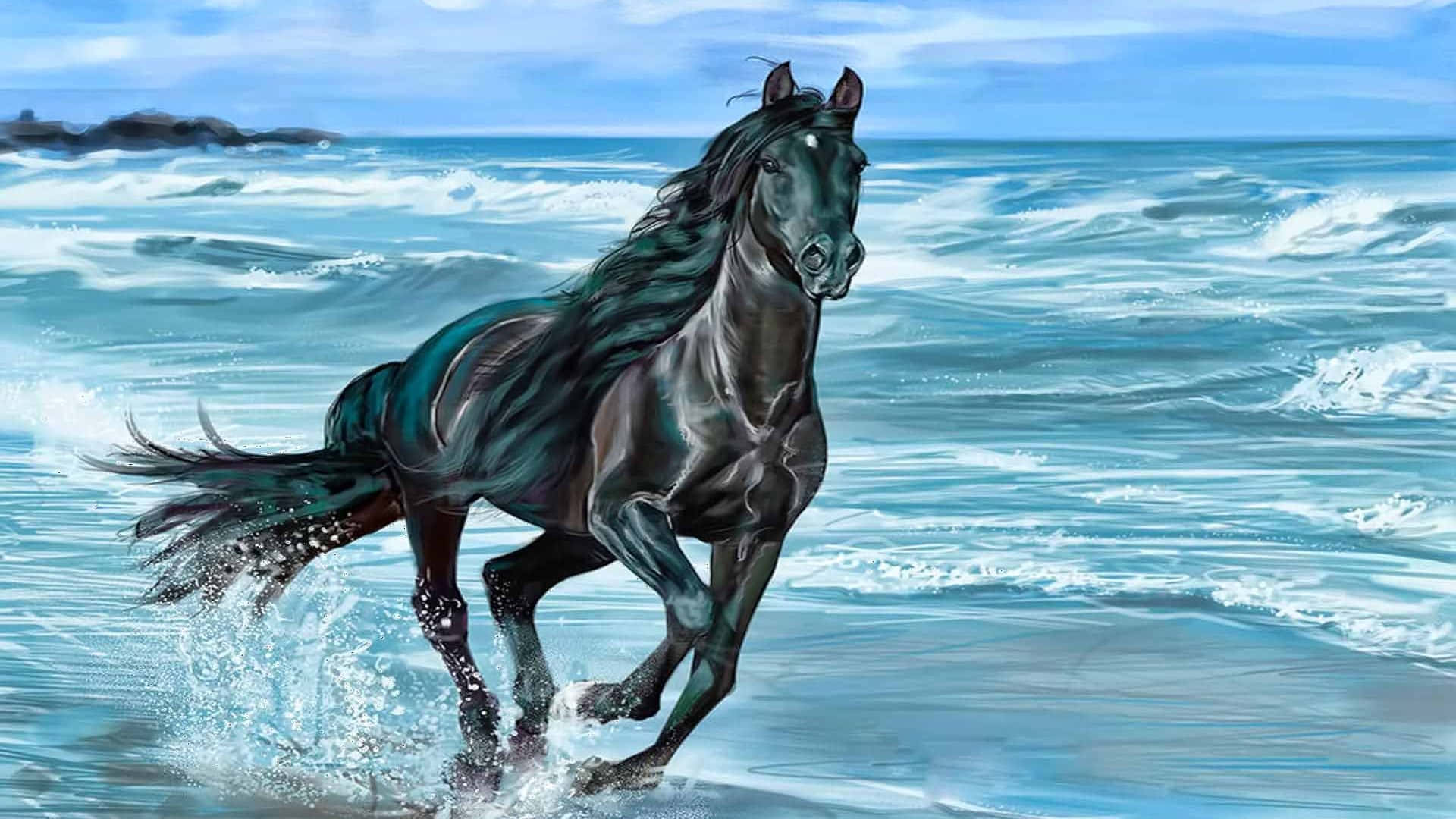 An Elegant Black Horse~