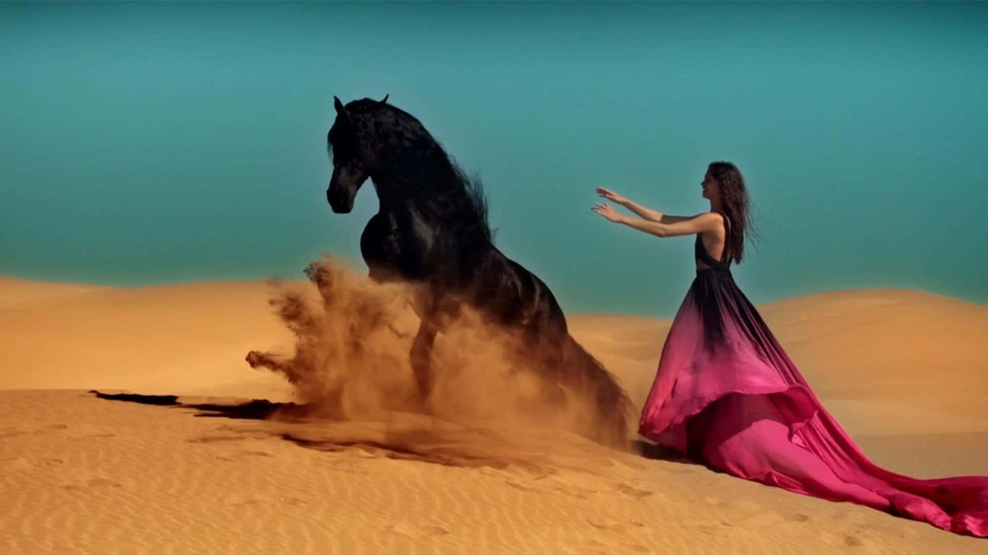 Explore the beauty of nature on the back of a black horse