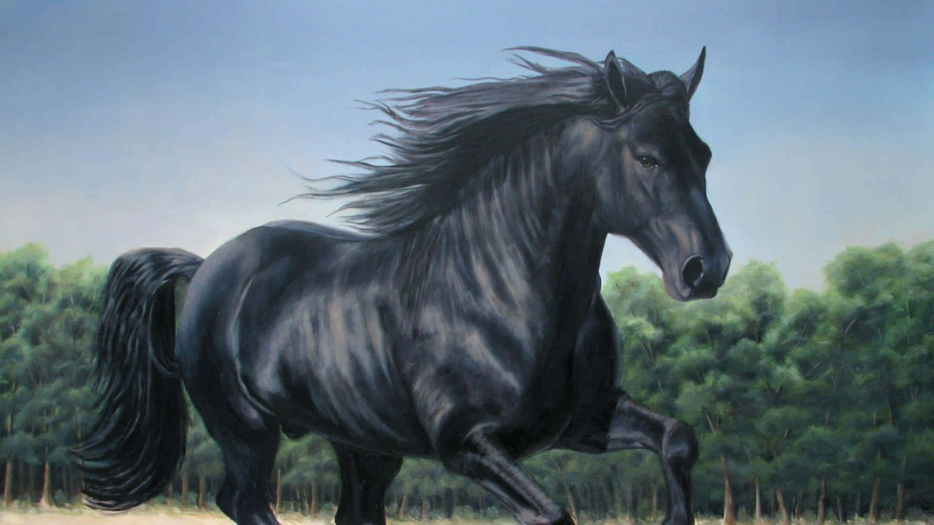Jumping Black Horse | AJ Wallpaper