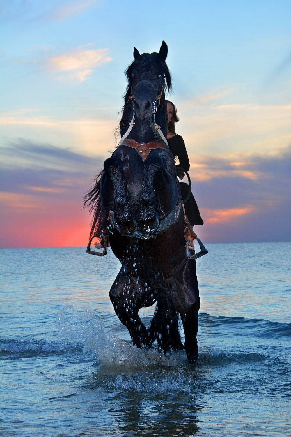 Black Horse Riding Rearing Ocean Wallpaper