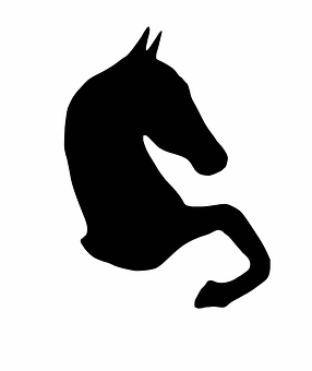 Black Horse Silhouette Graphic PNG