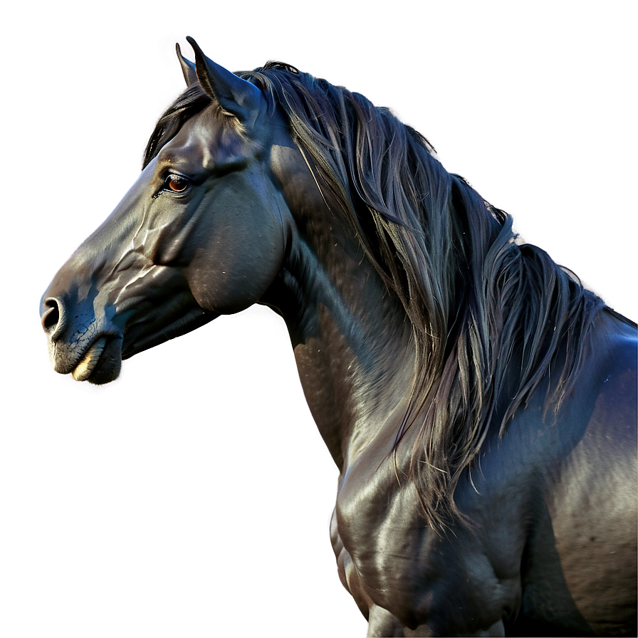 Black Horse With Flowing Mane Png 78 PNG