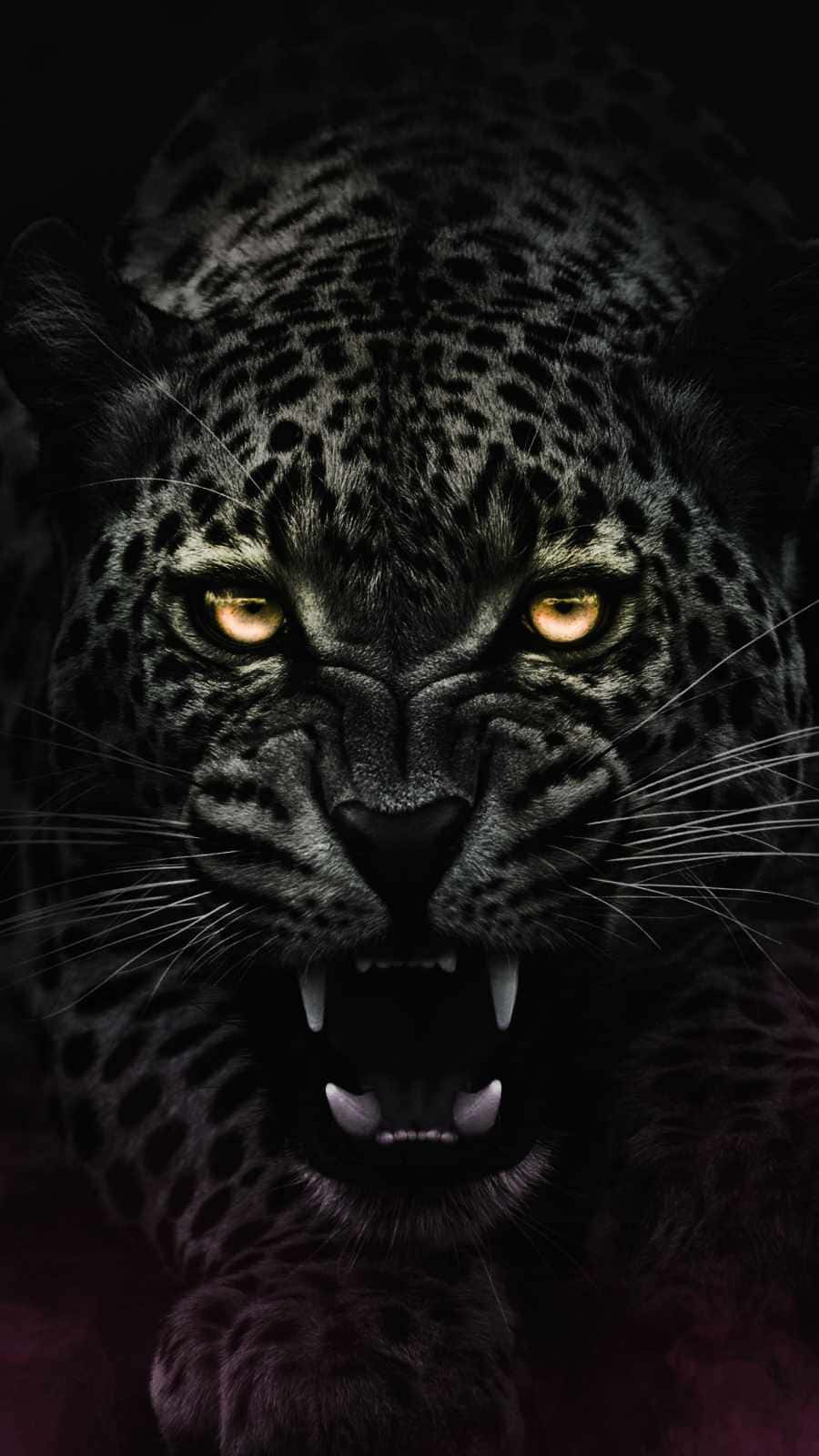 En smuk sort jaguar klar til at støde til Wallpaper