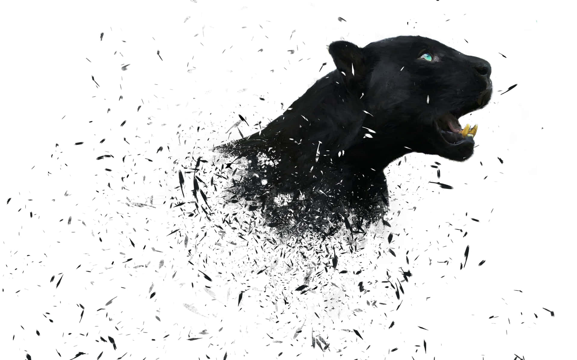 A Black Panther Is Running Through A White Background Wallpaper