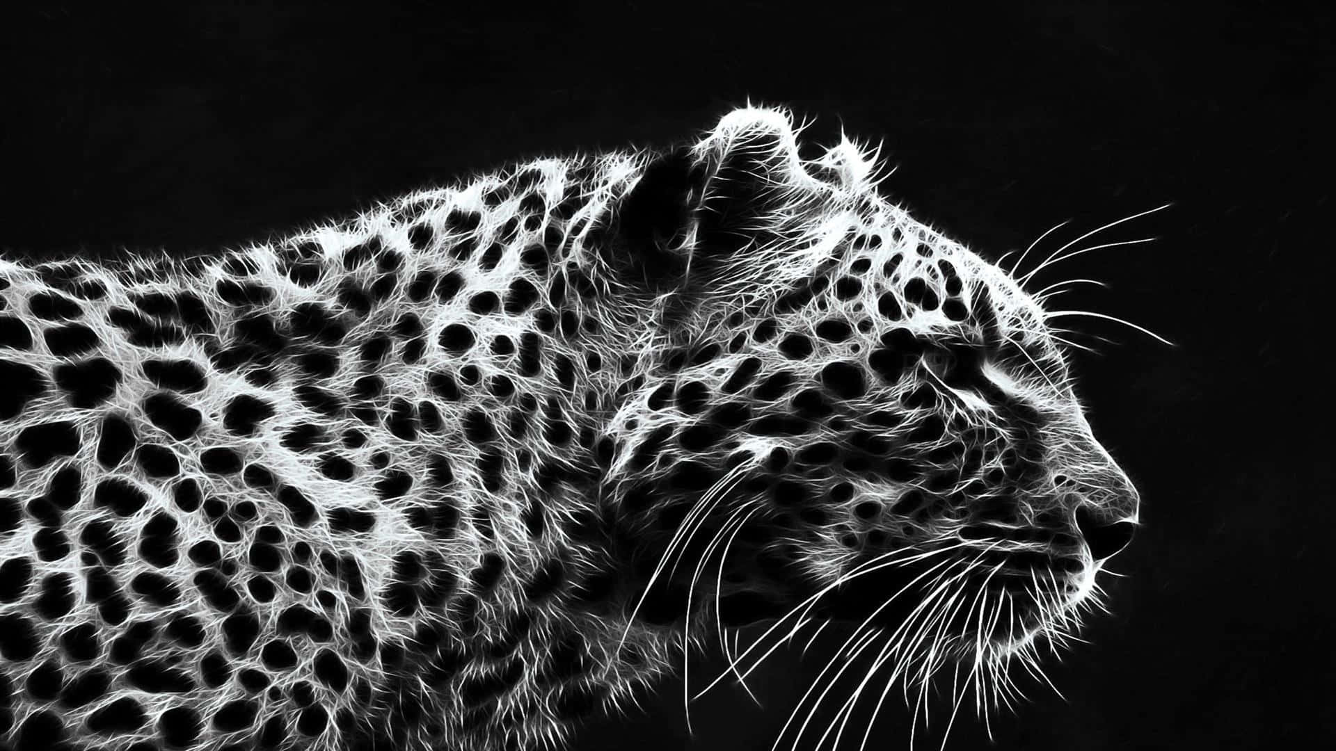Majestätischerschwarzer Jaguar Wallpaper