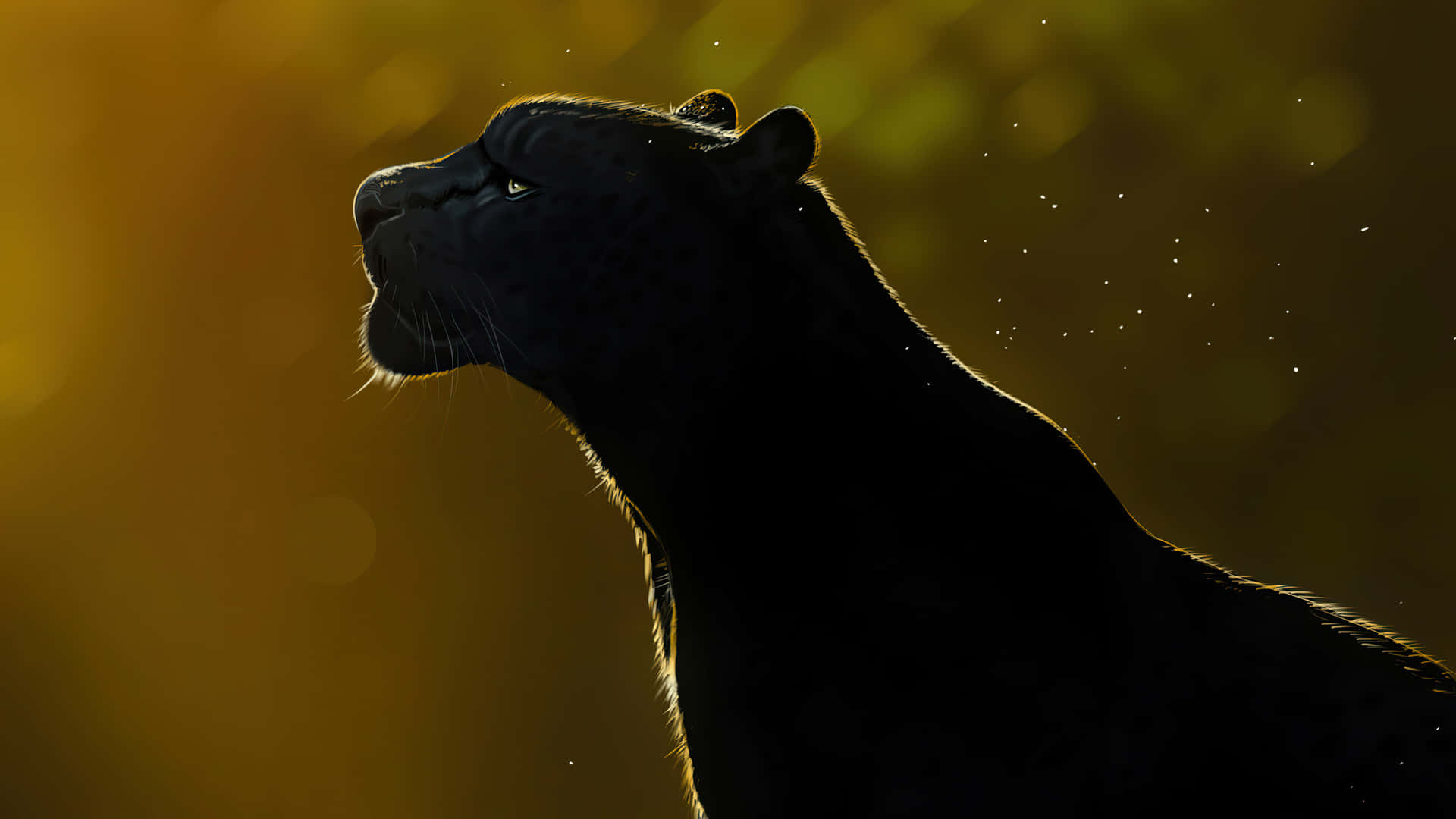 En glat sort jaguar der vandrer frit på en gylden baggrund. Wallpaper