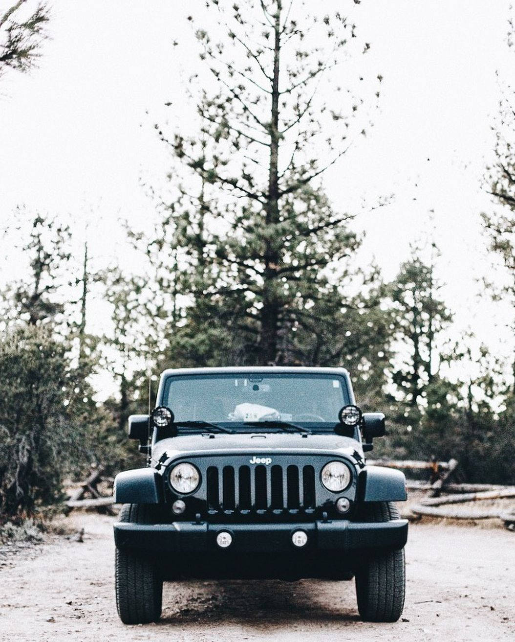 Black Jeep Wrangler With Tall Trees Wallpaper