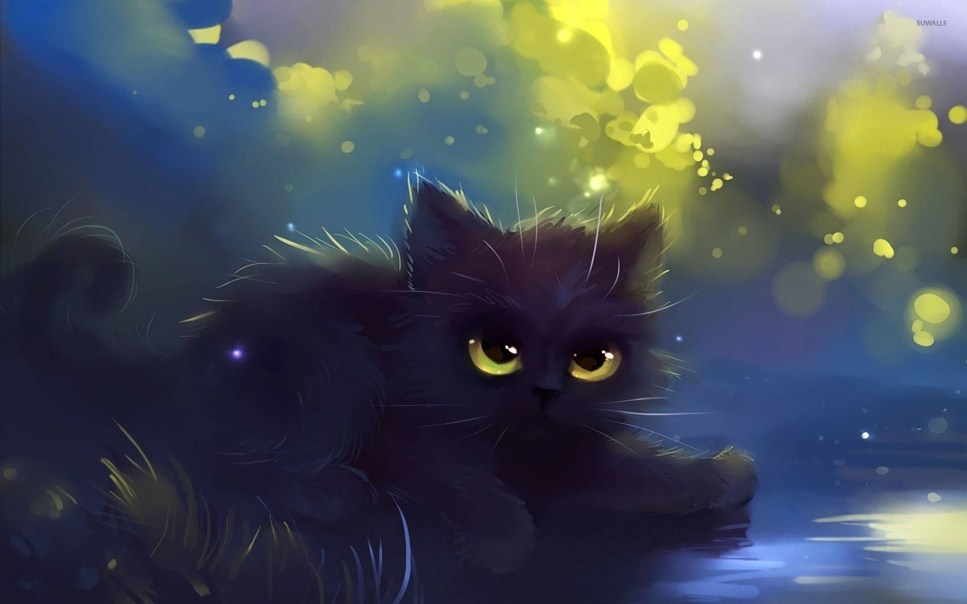 adorable black kitten backgrounds