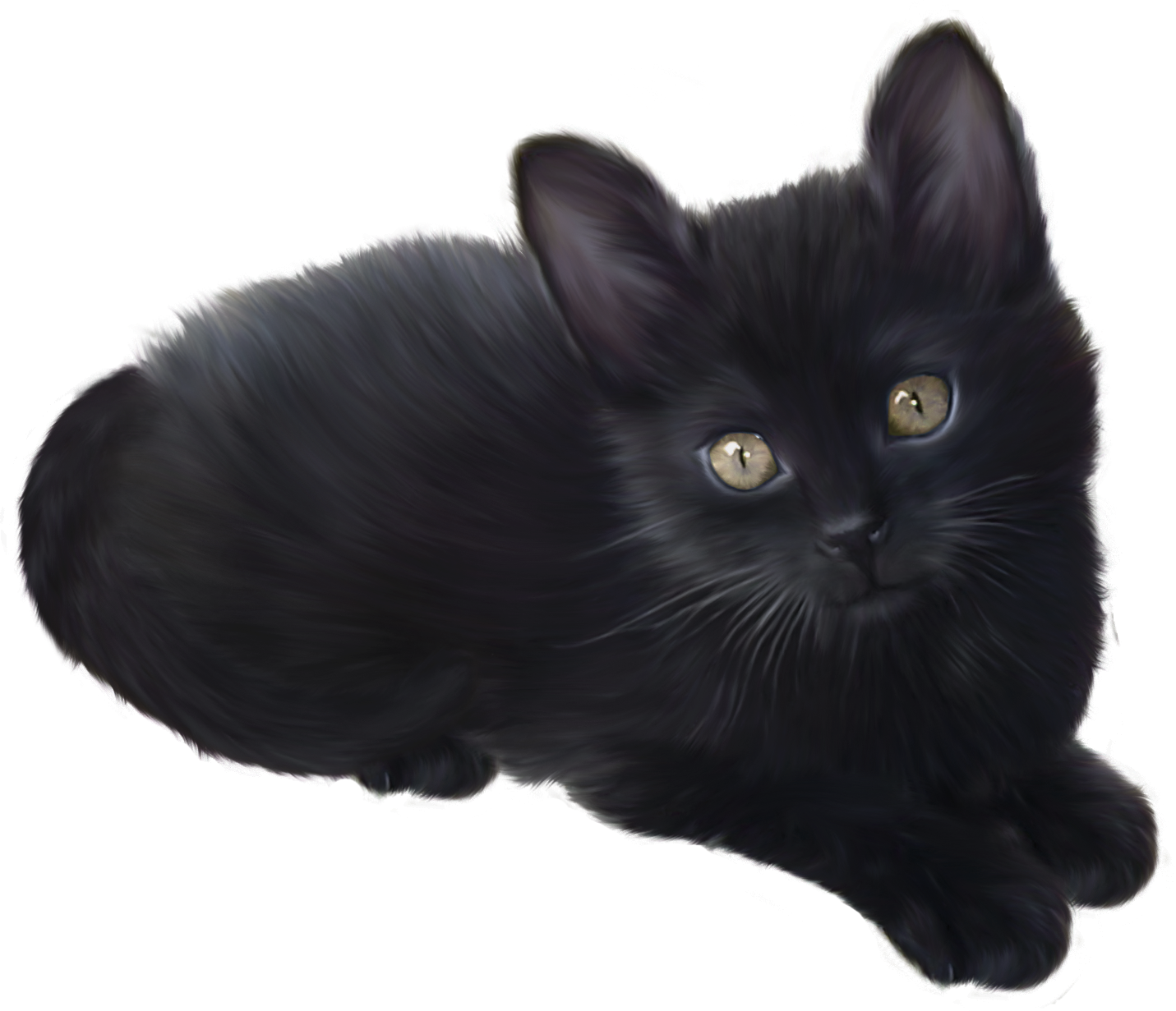 Black Kitten Gazing Image PNG