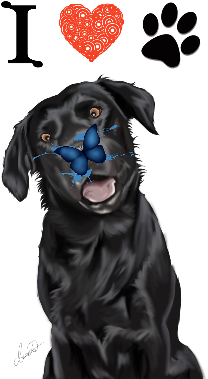 Black Labrador Love Illustration PNG