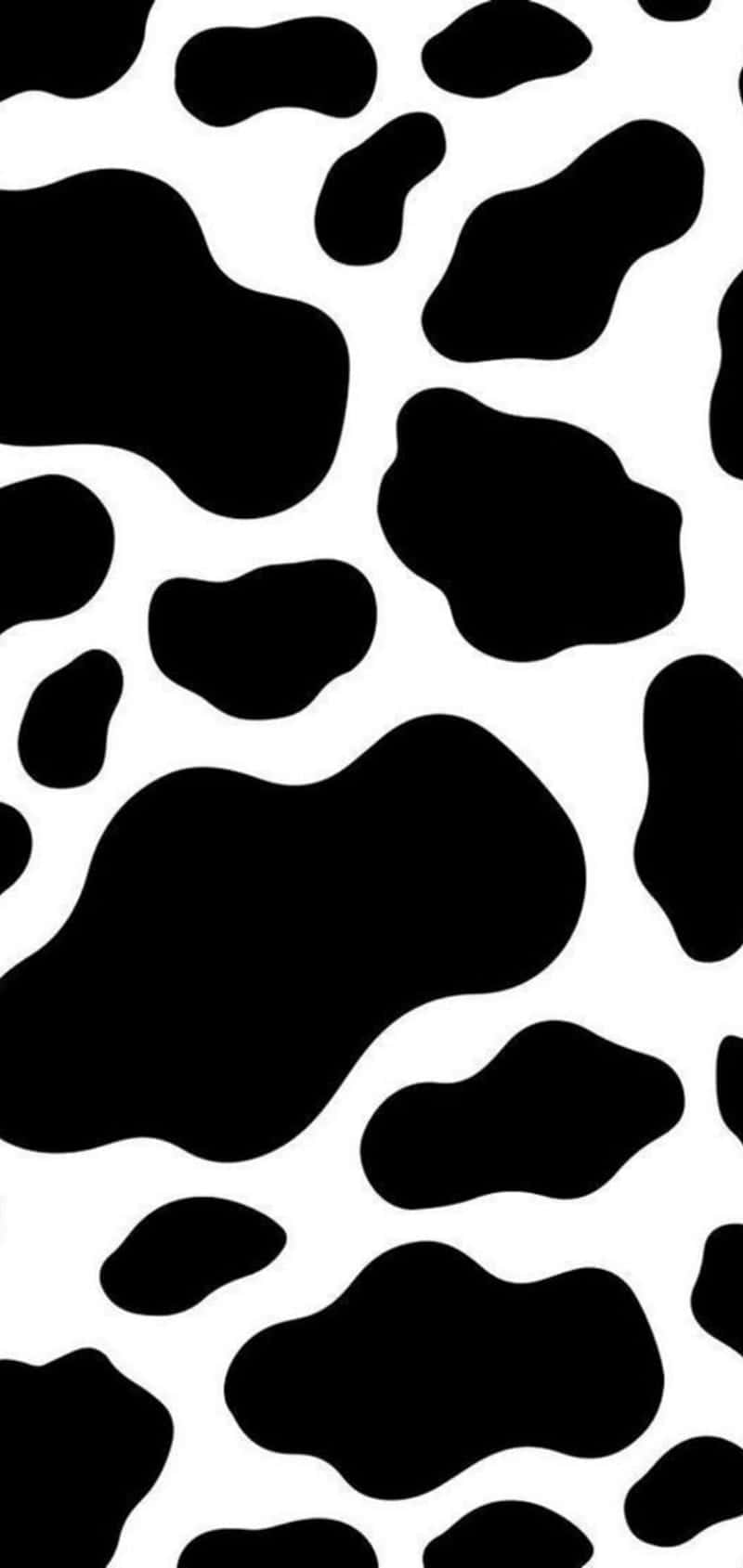 Black Leopard Print Pattern Wallpaper
