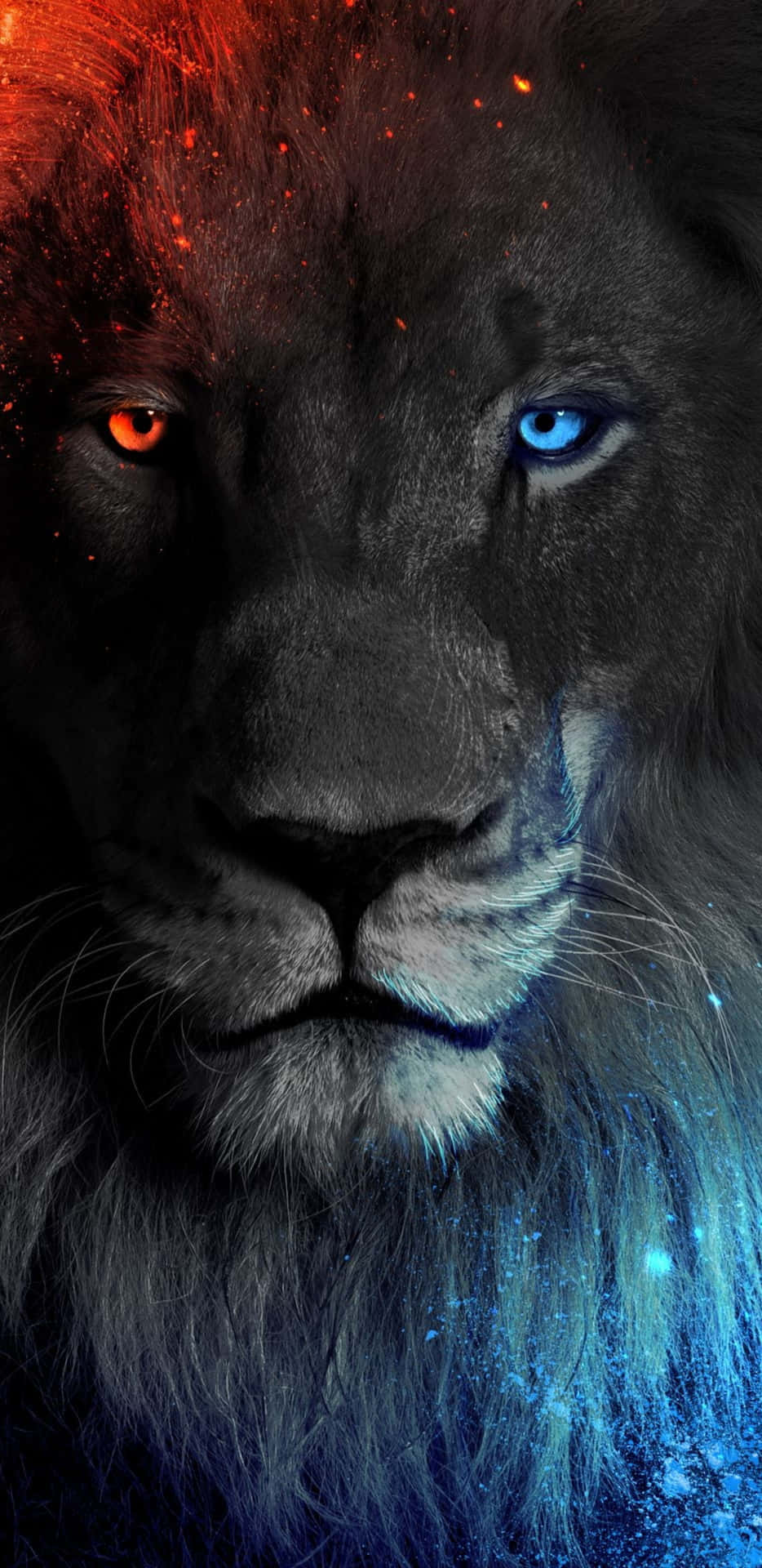 Download Lion Head With Blue Eyes Wallpaper | Wallpapers.com