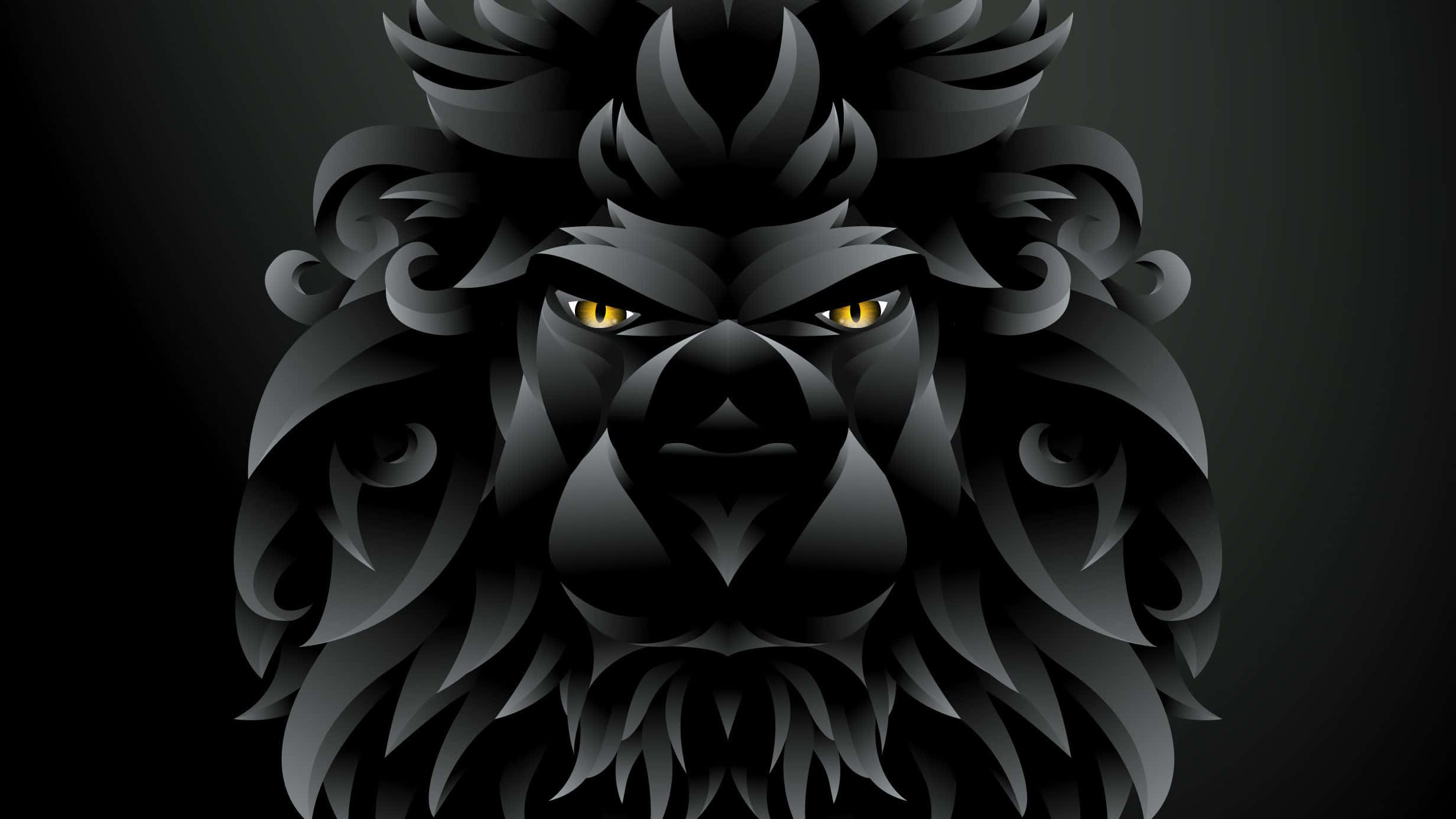 A male black lion proudly shows his dominance Wallpaper