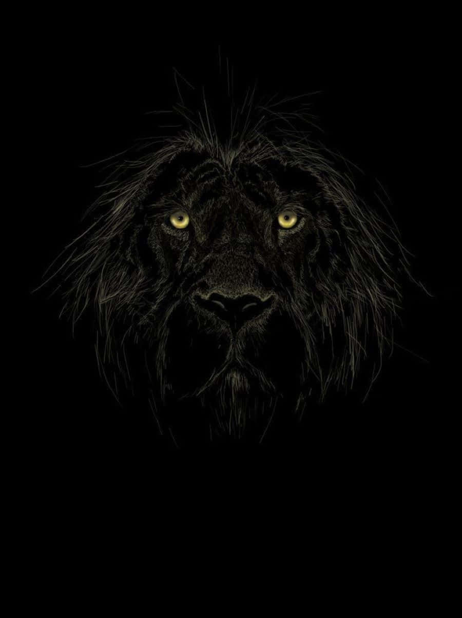 A Black Lion takes center stage Wallpaper
