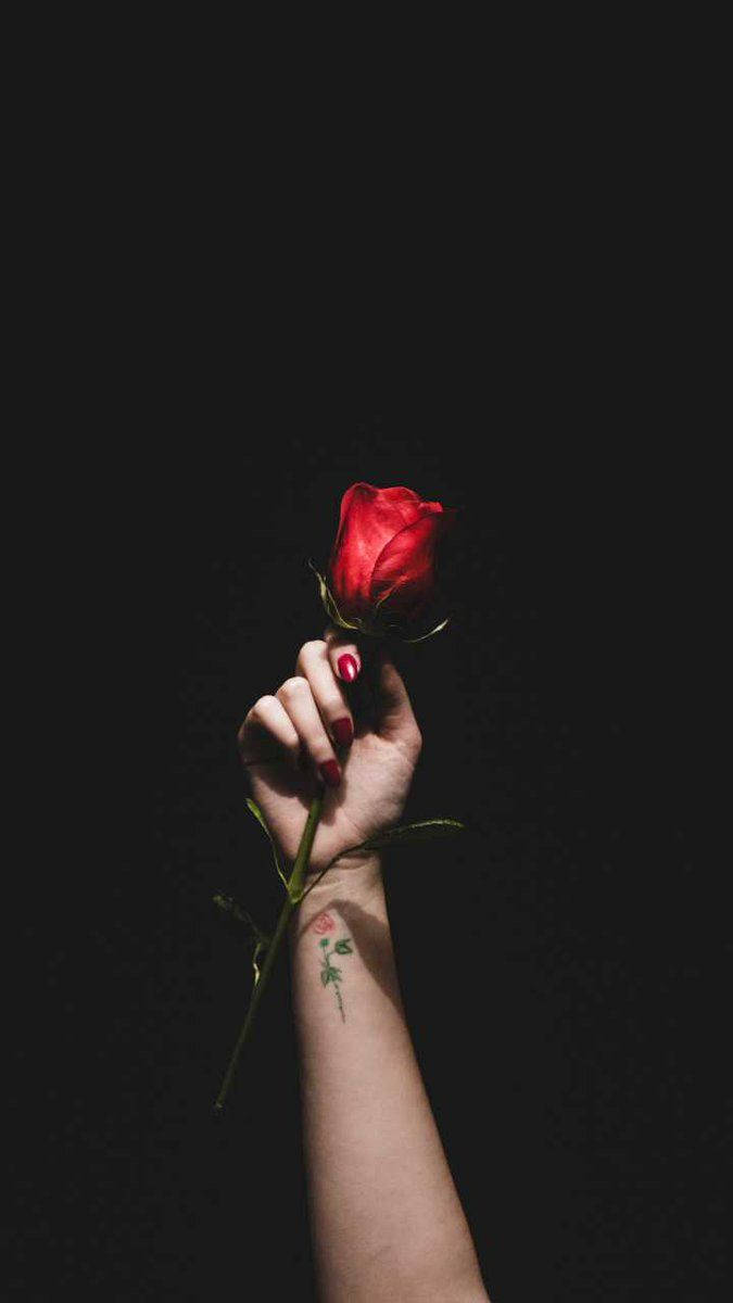 Black Love Rose In Hand Wallpaper
