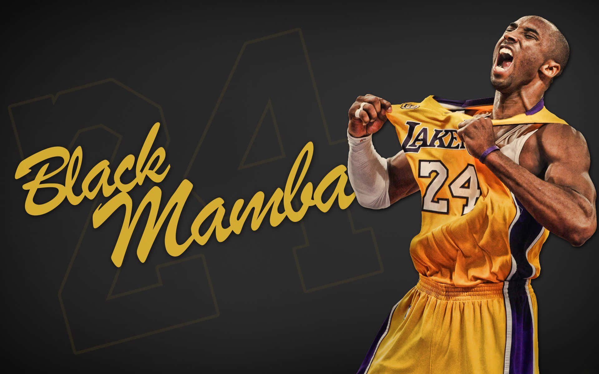 Kobe Bryant - The Legendary "Black Mamba" Wallpaper
