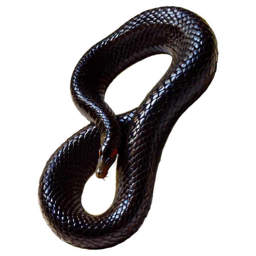 Black Mamba Snake Png 44 PNG