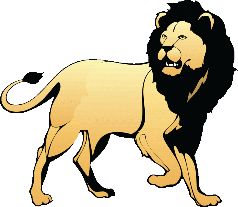 Black Maned Lion Illustration PNG