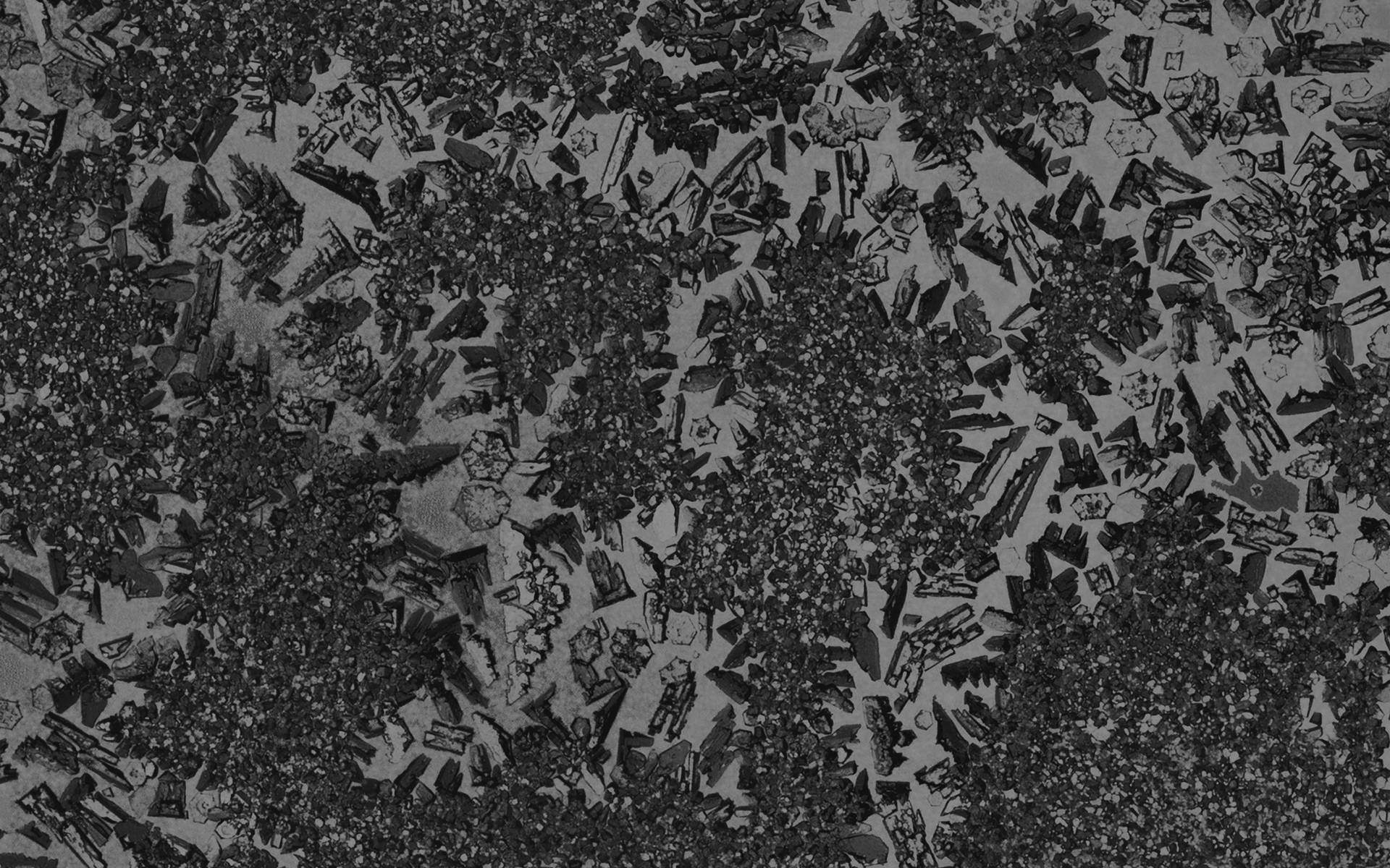 Einschwarz-weiß Bild Von Einer Schwarz-weißen Blume Wallpaper