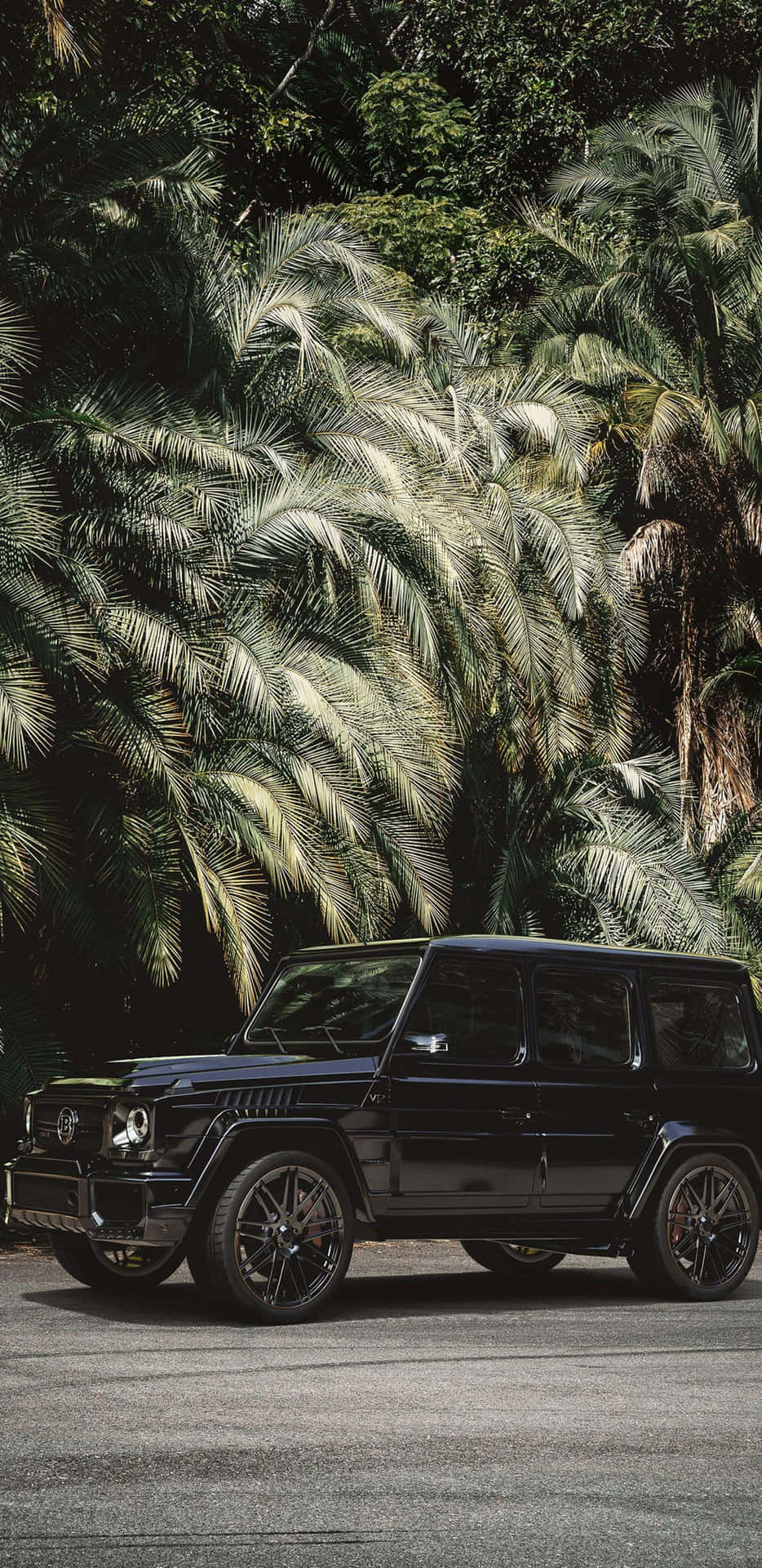 Black Mercedes G Wagon Tropical Backdrop Wallpaper