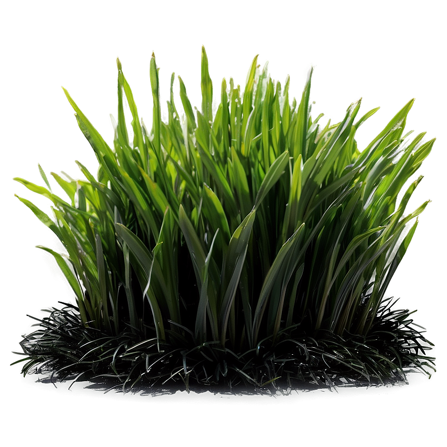 Black Mondo Grass Png 23 PNG