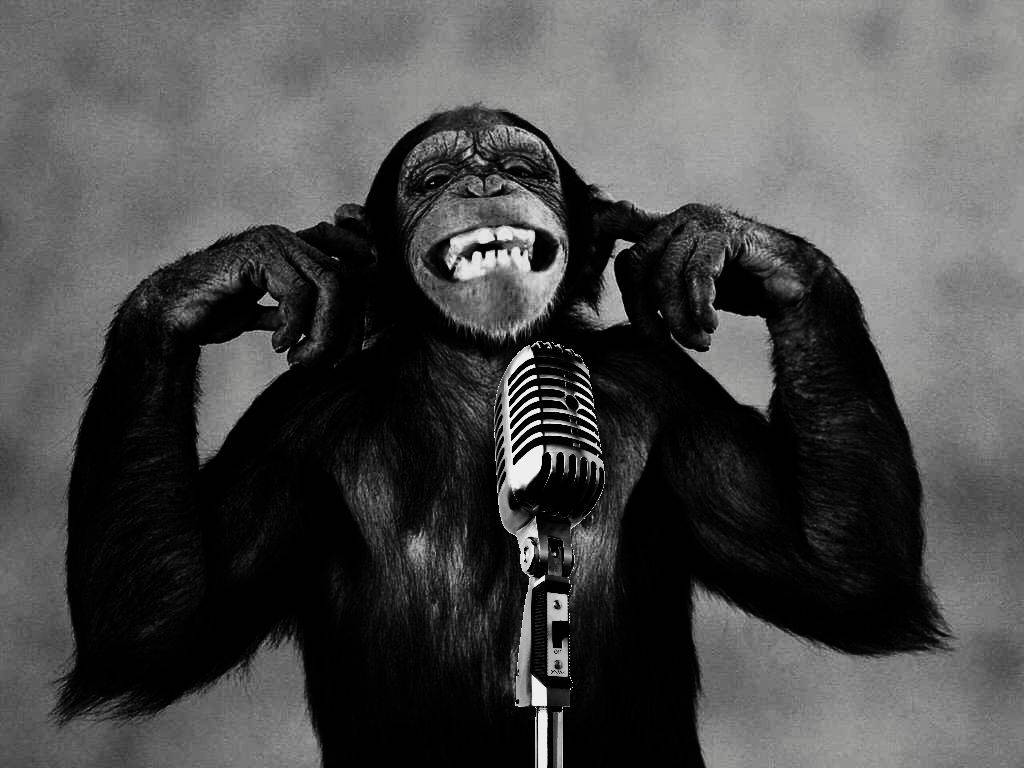Black Monkey Giggling Behind Microphone Wallpaper