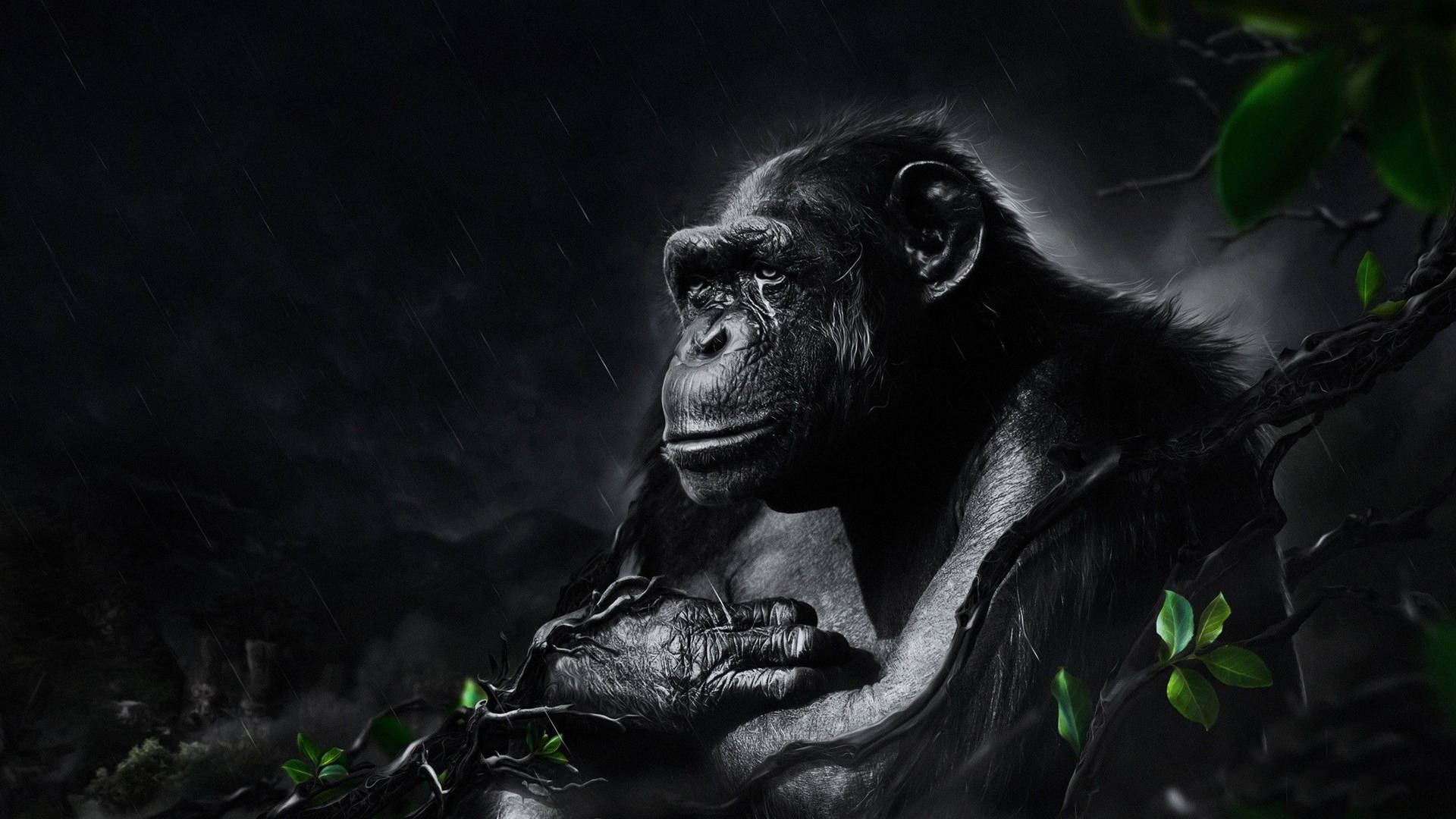 Black Monkey Lonely Painting Wallpaper