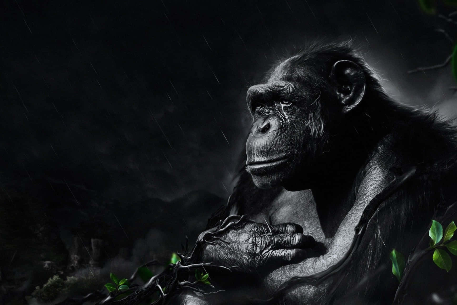 Gorilla Black Monkey Picture Dark Aesthetic Picture